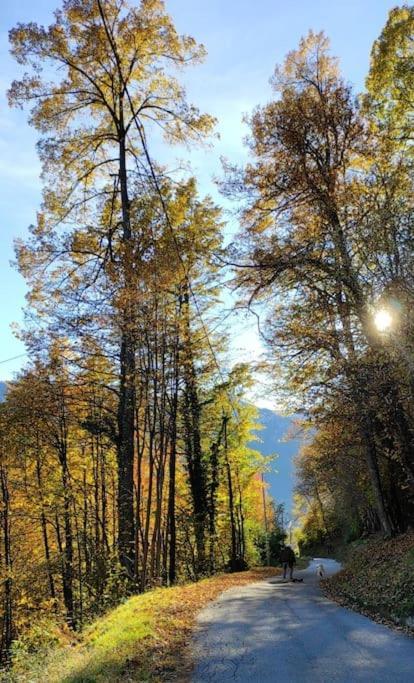 Casa Del Cios Calda E Intima Casetta Immersa Nel Verde Delle Montagne Alpe Basciumo エクステリア 写真