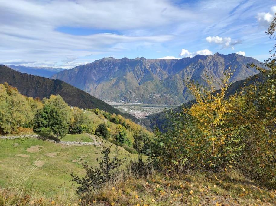 Casa Del Cios Calda E Intima Casetta Immersa Nel Verde Delle Montagne Alpe Basciumo エクステリア 写真