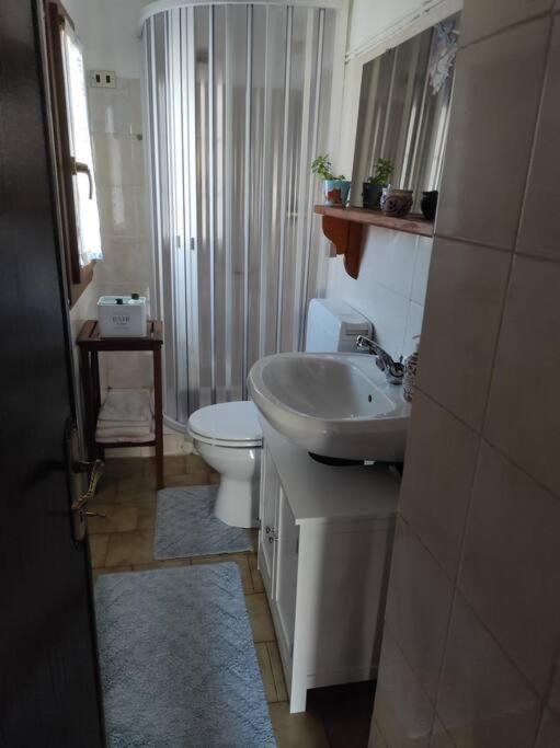 Casa Del Cios Calda E Intima Casetta Immersa Nel Verde Delle Montagne Alpe Basciumo エクステリア 写真