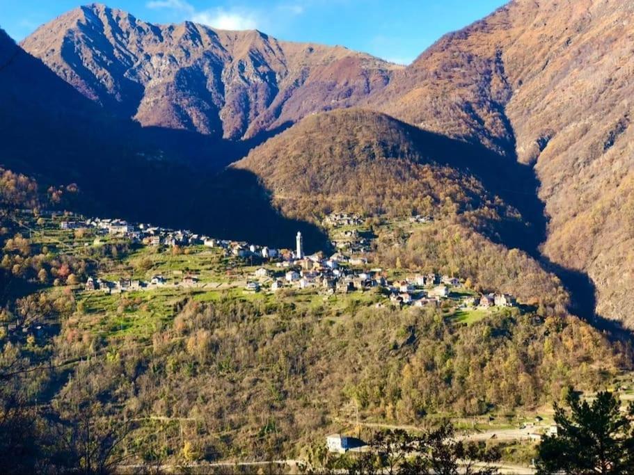 Casa Del Cios Calda E Intima Casetta Immersa Nel Verde Delle Montagne Alpe Basciumo エクステリア 写真