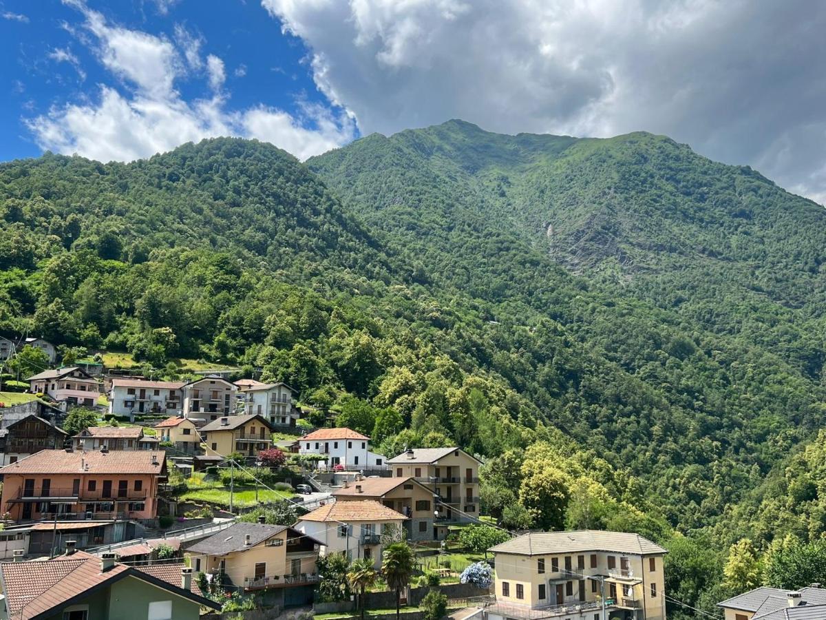 Casa Del Cios Calda E Intima Casetta Immersa Nel Verde Delle Montagne Alpe Basciumo エクステリア 写真